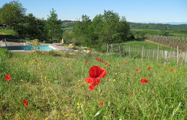 Cascina Ponchietta - Foto 33