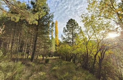 La Guijarroseña , Rio Madera - Foto 47