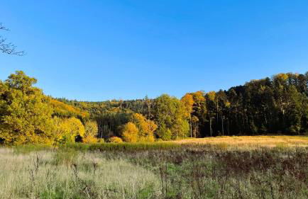 Casa de Gengenbach - Foto 19