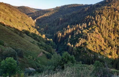 "L'Abri" massif du Mézenc - Foto 61