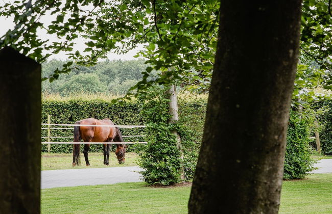 House in Leenderstrijp Near Leenderbos Trails - Foto 34