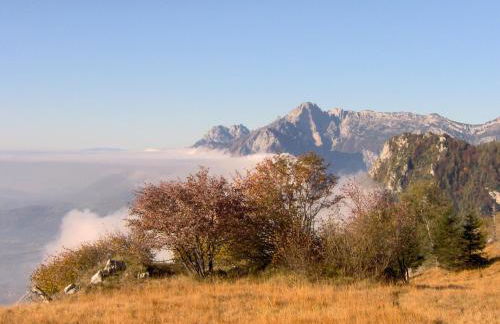 Apartment Ninetta Belluno Dolomiti - Foto 29