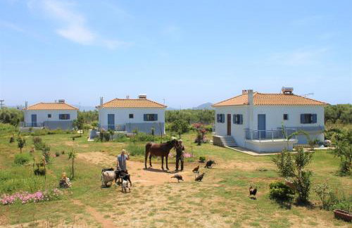 Stamna Farm - Foto 1