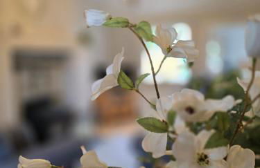 Newly Renovated Country Cottage - Foto 41