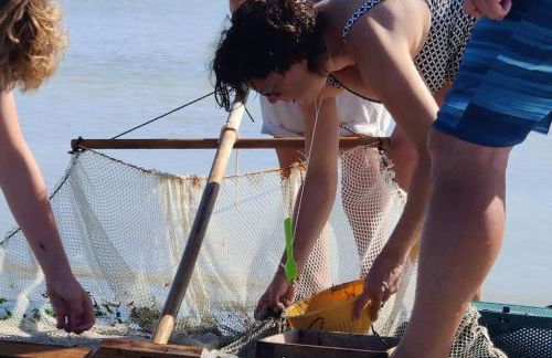 La Baigneuse maison avec jardinet et parking privé, à 200 m plage - Foto 54