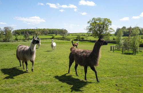 Courtyard Cottage - Photo 27