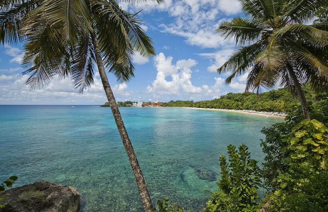 Garden Condos - Foto 17