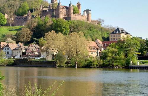 FeWo Lermann Marktheidenfeld - Foto 14