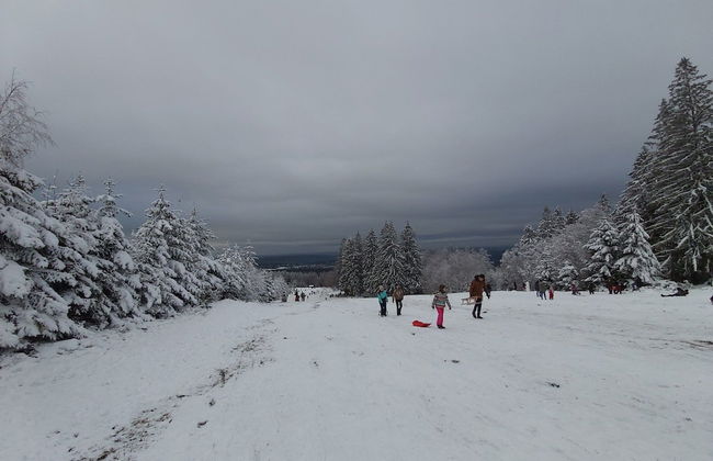 Holiday Home 'ardennes Blue' in Theux Near Spa - Photo 78