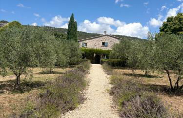 Bastidon Silvestre - Photo 44