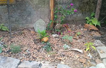 Casa na praia com quintal amplo e piscina - Foto 7