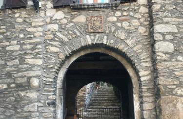 Casa Mingot SXVI Anciles Benasque - Photo 42