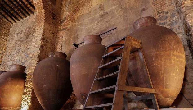 Grande Prova Honrado Winery Tour + Tasting - Foto 4