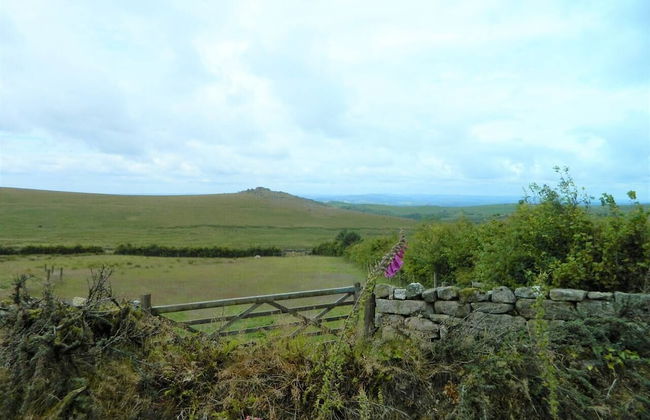 Dartmoor Barn on North Hessary Tor - Foto 27