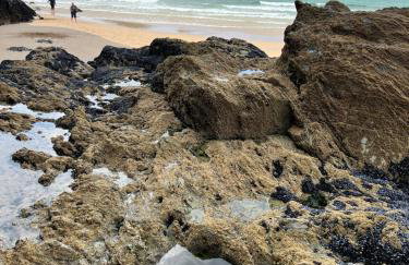 Cornish Crantock Holiday Sandy Toes - Foto 30