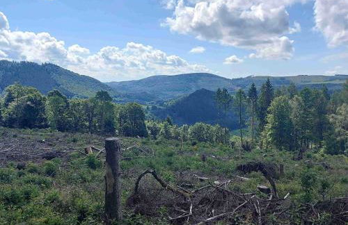 Terrace Retreat in Winterberg - Foto 74