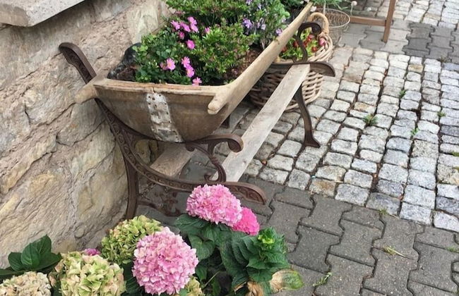 Kastanienhof Erfurt - Foto 70