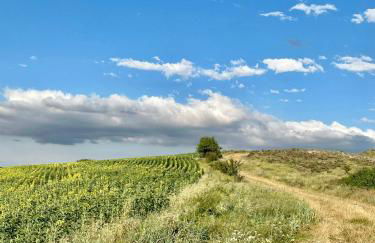 Fresno Vista - Photo 40