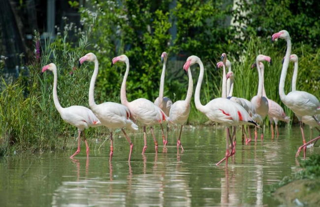 Tasteful Bungalow in Hallschlag With Terrace - Photo 24
