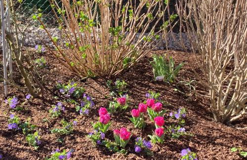 Ferienwohnung Susanne - Foto 11