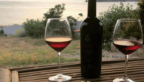 Casa Lugori - Foto 1, Garden