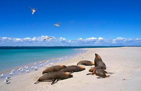 Swafield Hall - Foto 40