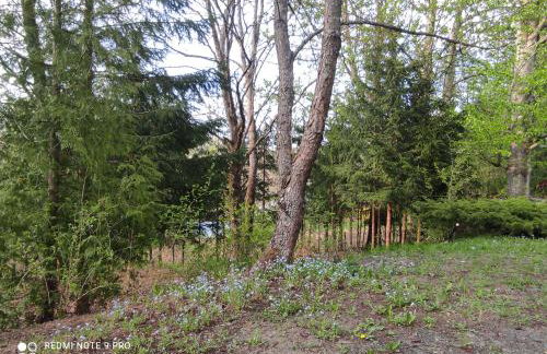 Rykowisko - domki całoroczne nad jeziorem i rzeką - Foto 32