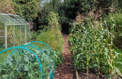 Field View - Foto 12