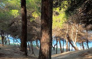 Attico il Gabbiano Rivabella Gallipoli - Foto 32