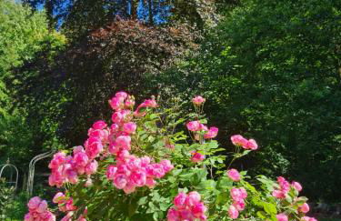 Eulennest,Parkplatz,Wäschepaket,Reinigung inklusive - Foto 42