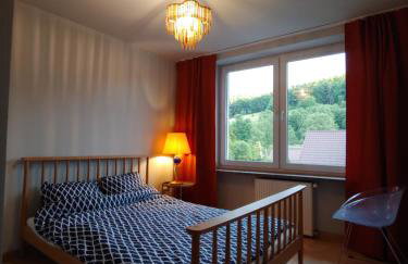 Apartament u Tomka Premium - Foto 9