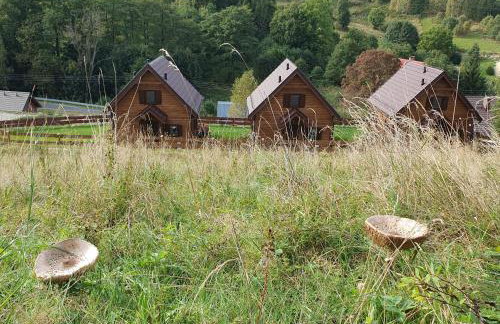 Chata Lisa - Foto 31