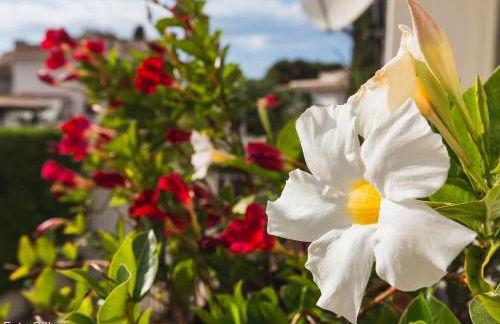 Villa Matilde - Foto 63