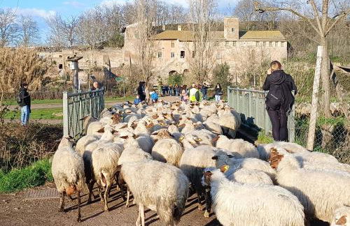 Casa mia Metro A 100mt - Foto 65