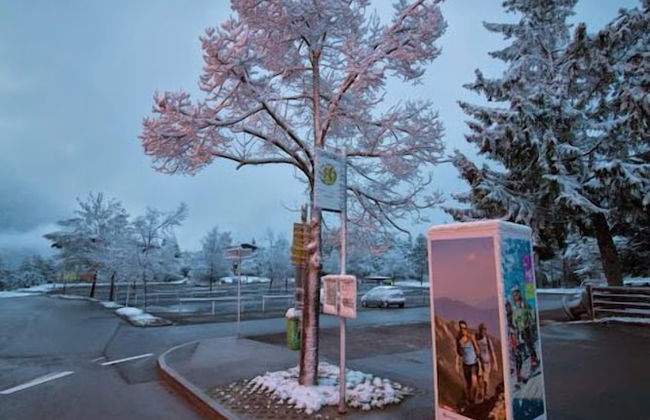 Sportappart Schatz - Foto 30