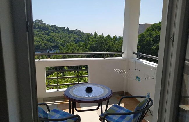 Apartments Jovanovic - Foto 24