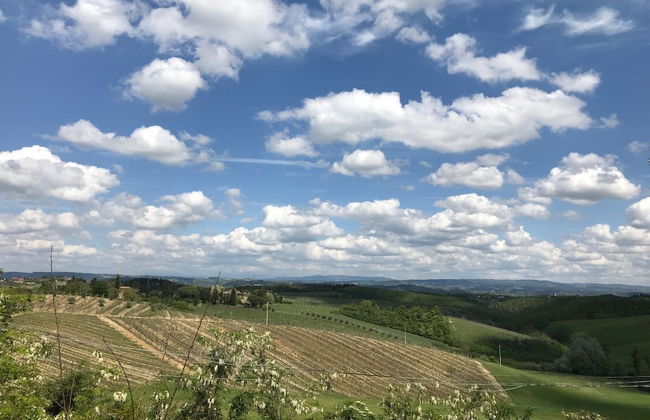 Il Vicario - Photo 29