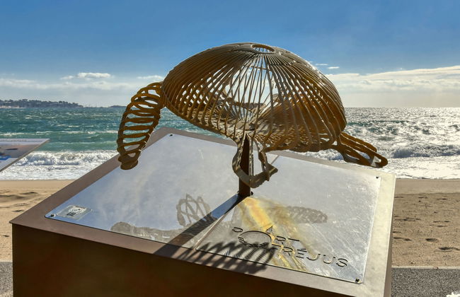 Bleu Marine - Foto 21