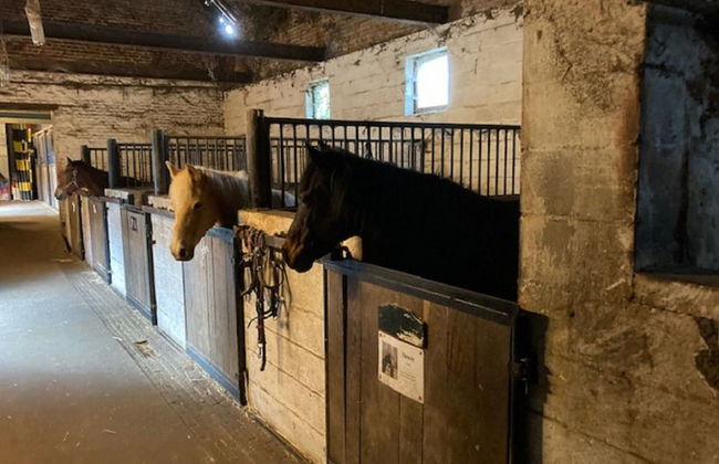 Riding School Farm Stay - Foto 39