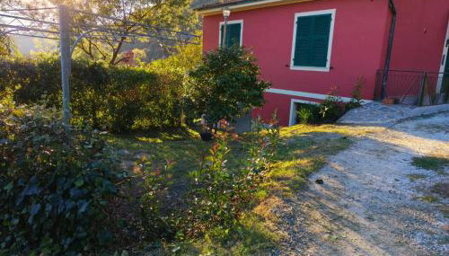 Casa Vacanze Il Pergolo - Foto 2, Garden view