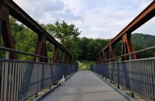 Lindenwohnung an historischer Mühle - Photo 25