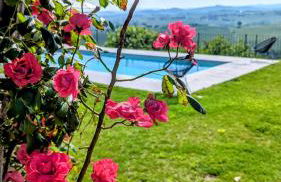 Villa Perla, hilltop location with pool - Foto 19