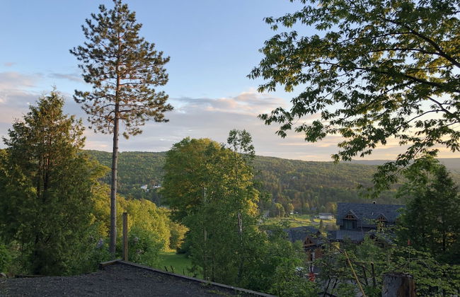 Chimo Cottage - Photo 45