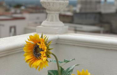 La loggetta 63 - Foto 76