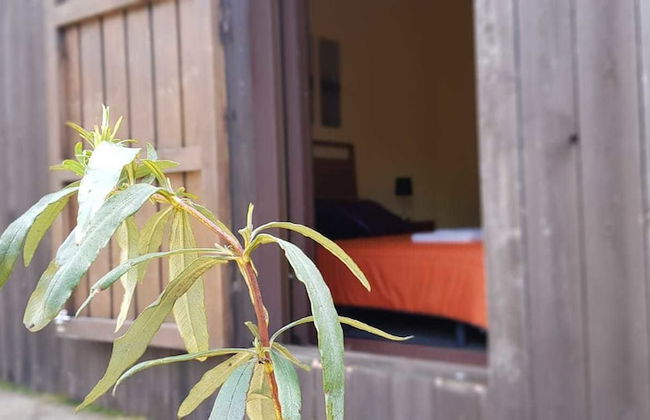 Casas Rurales Cijara - Foto 13