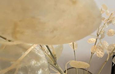 Atelierhaus Zentrum,ruhig,HT herzlich willkommen - Photo 7