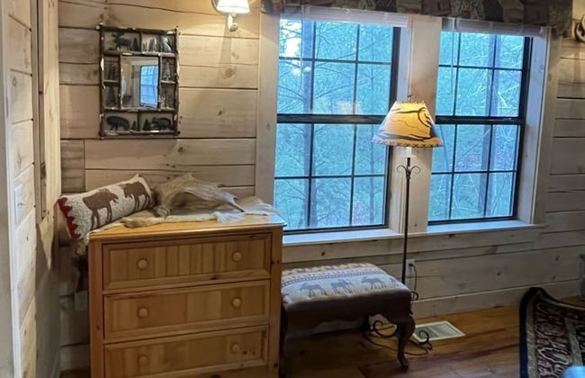 Private and Perfect! - hot tub, king bed, fireplace - dog and motorcycle friendly Studio Cabin by RedAwning - Foto 17