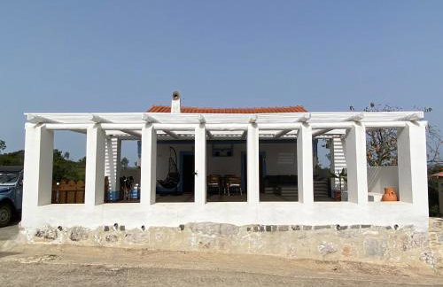 Casa do Papillon - Foto 15