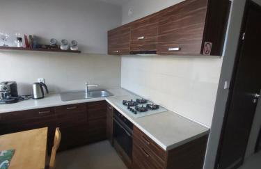 Apartament z ogrodem Tychy - Foto 6