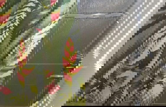 Oasis at Oaklands - Foto 14